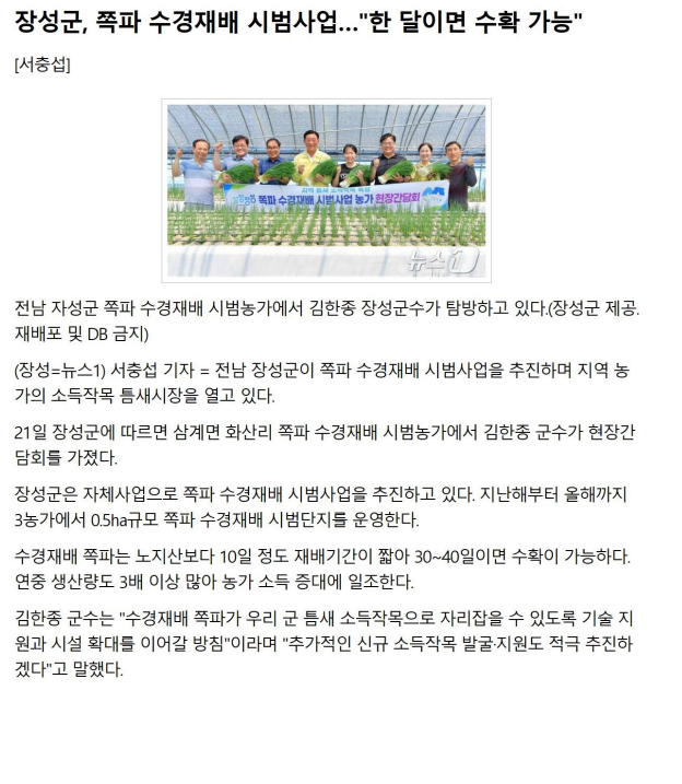 장성군,쪽파 수경재배 시범사업...:한달이면 수확 가능: